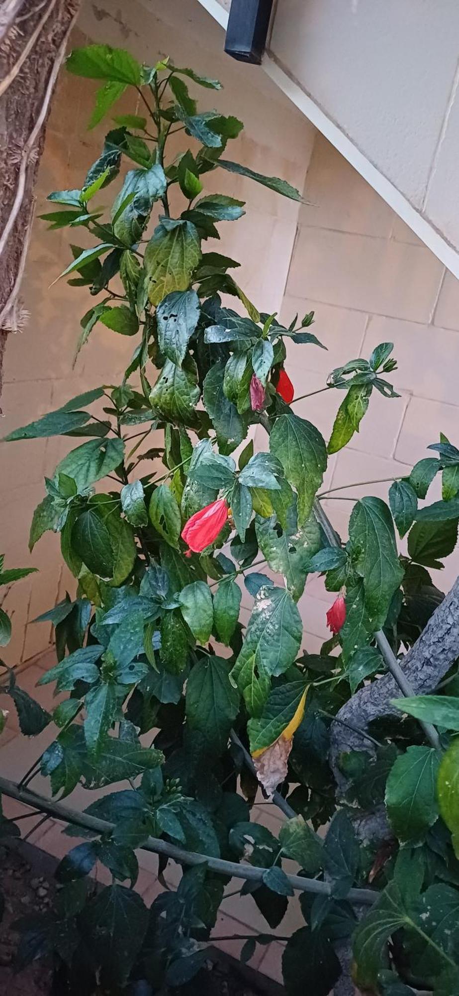 The Roof Garden Maisonette Marsaskala Zewnętrze zdjęcie
